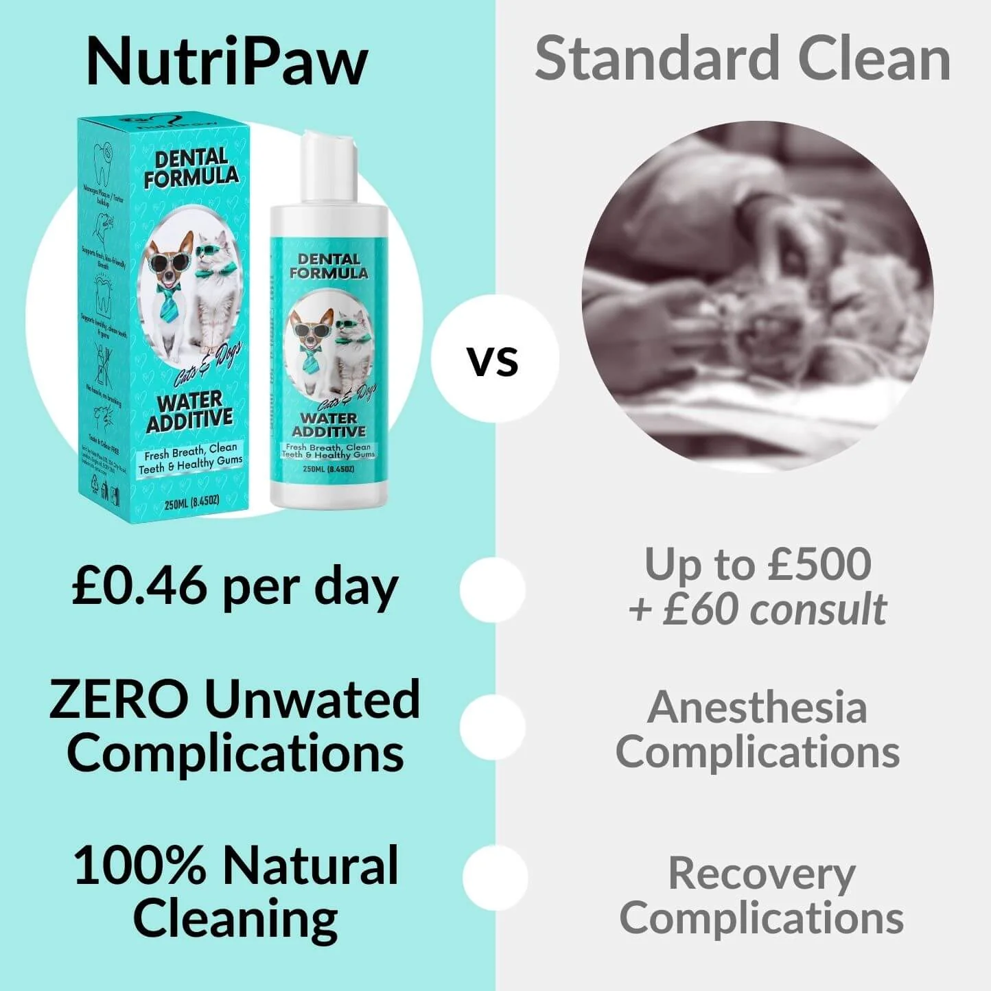 Dental Formula Water Additive - Image 3