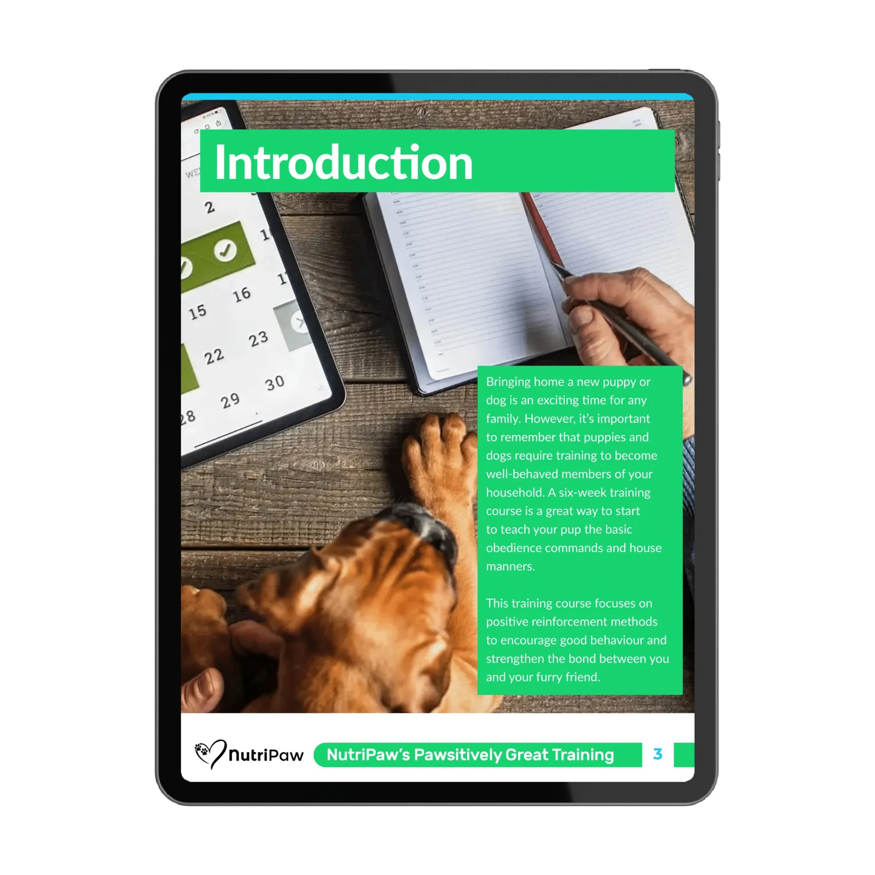 Dog Training Program - Image 3