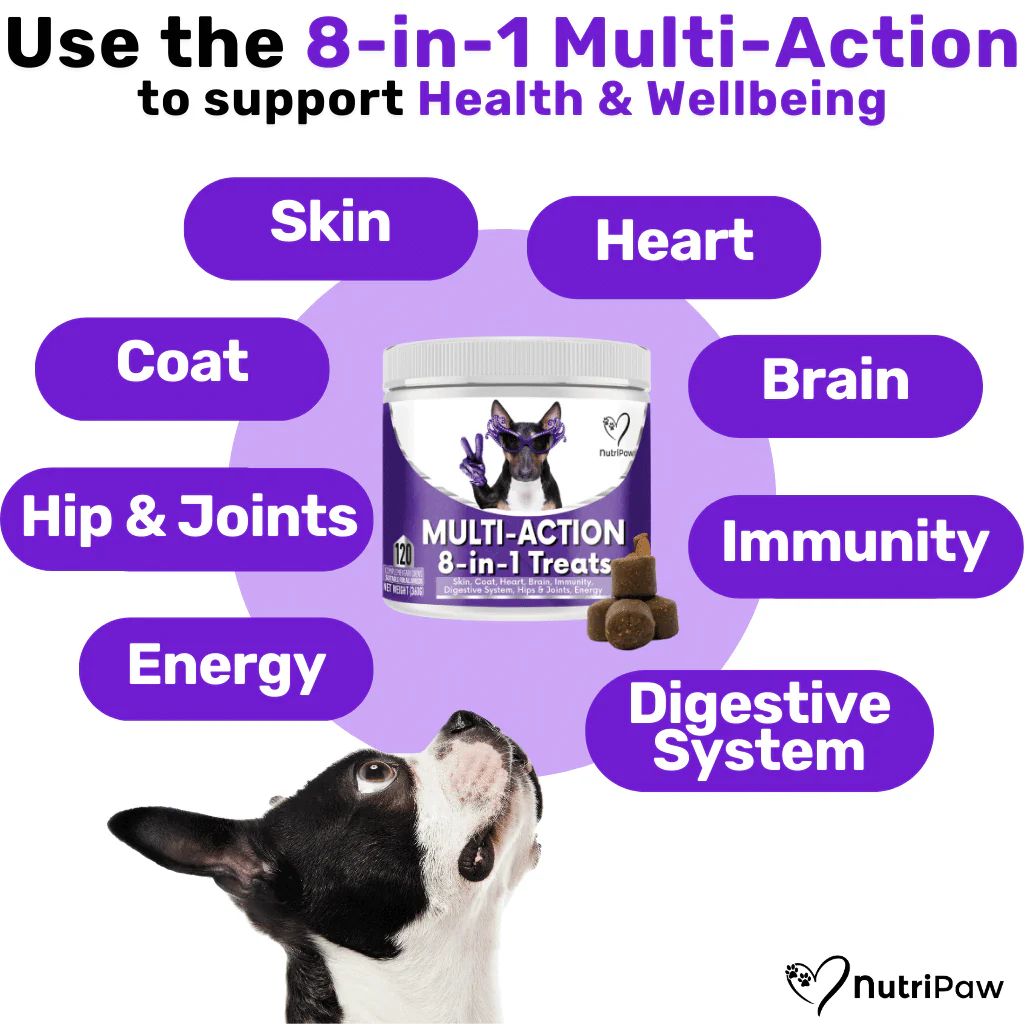Itch & Wellness Kit - Image 7