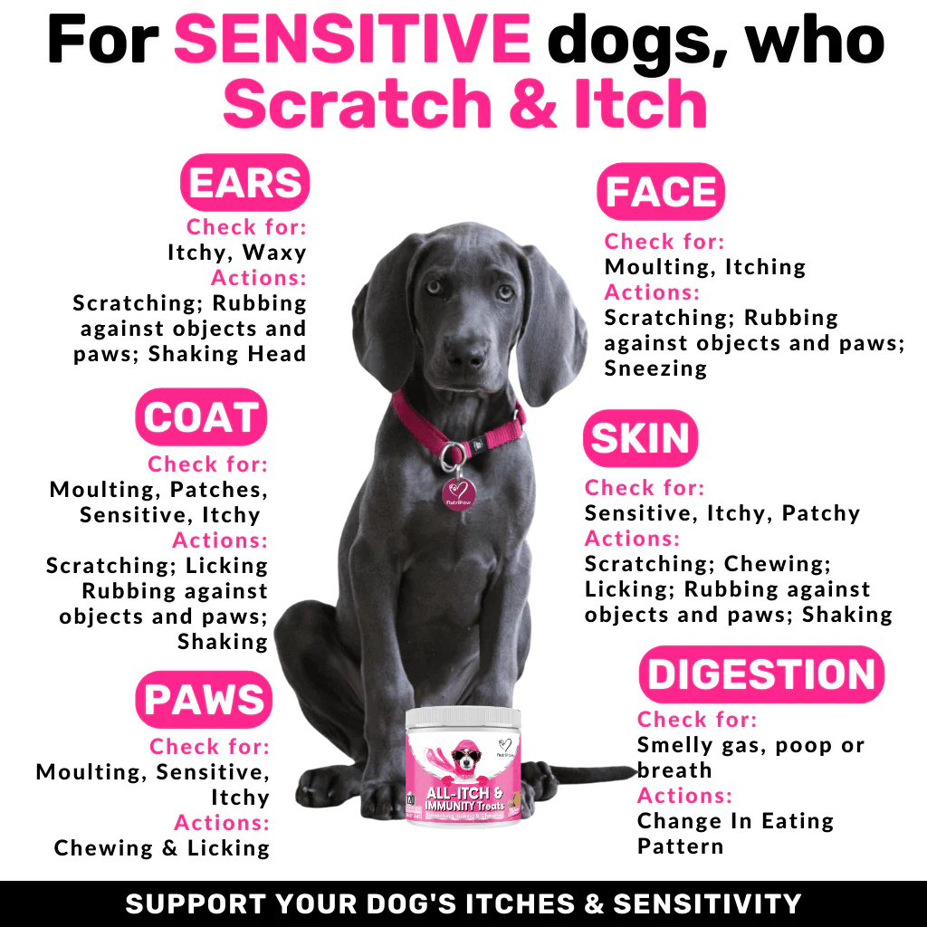 Itchy Dog Kit - Image 5