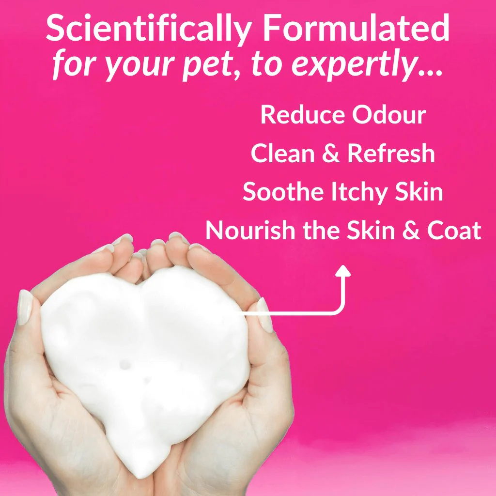 No-Rinse Skin & Coat Foam - Image 2