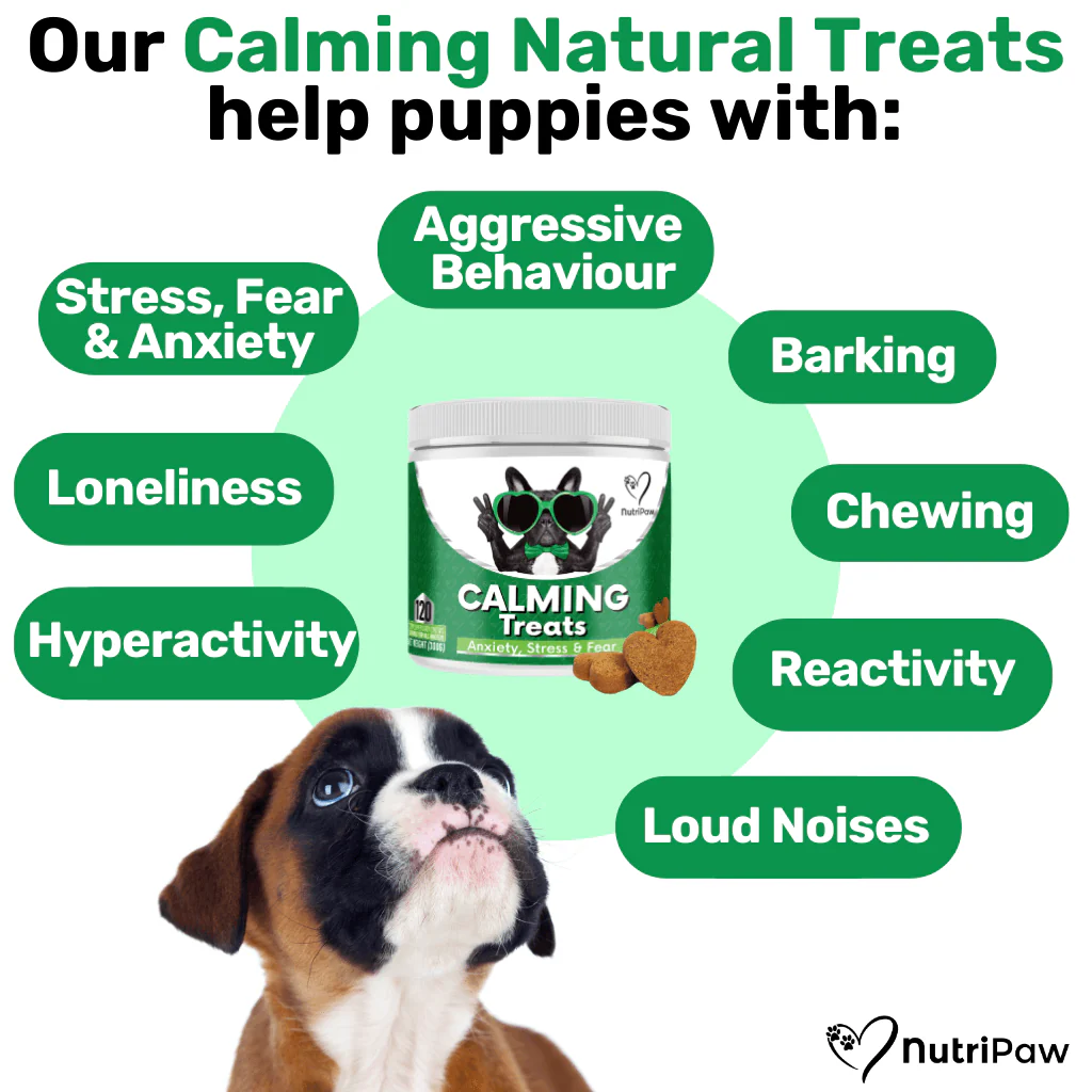 Nurture & Nourish Pack - Image 2