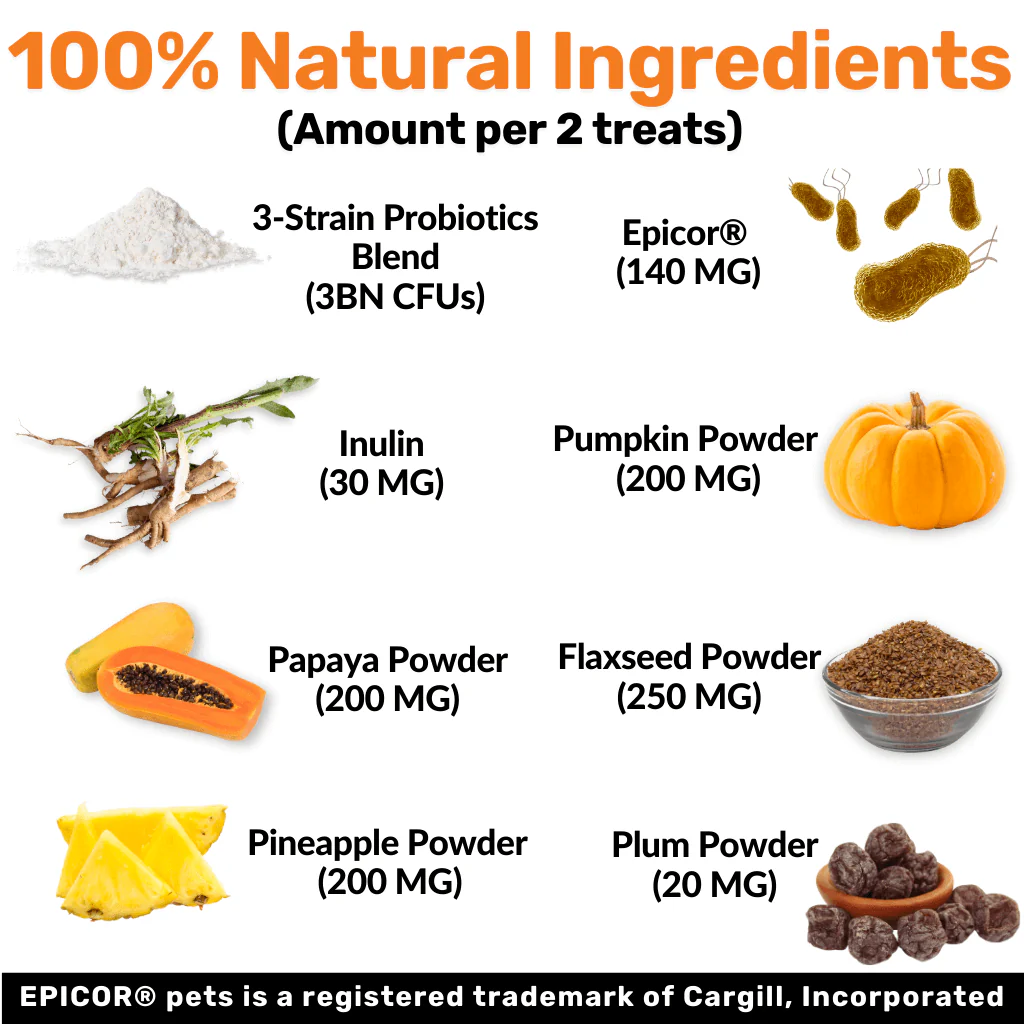 NutriPaw's #1 Kit - Image 7