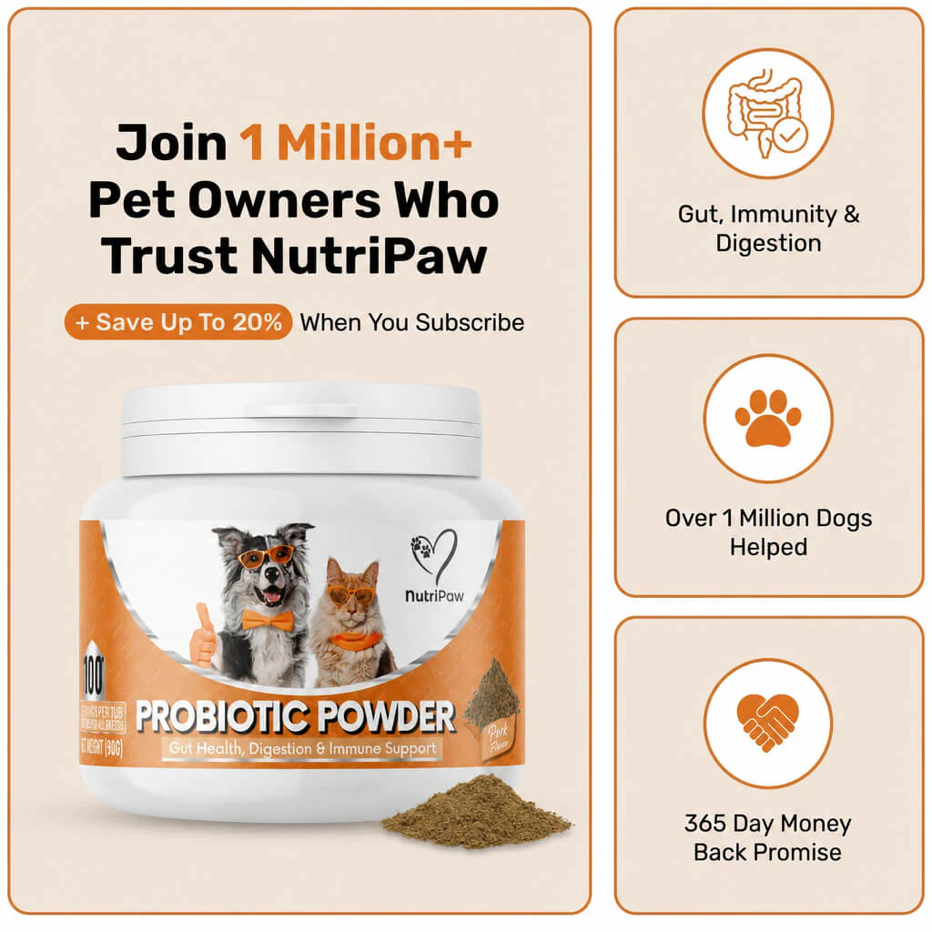 Pre, Pro & Postbiotic Powder - Image 9