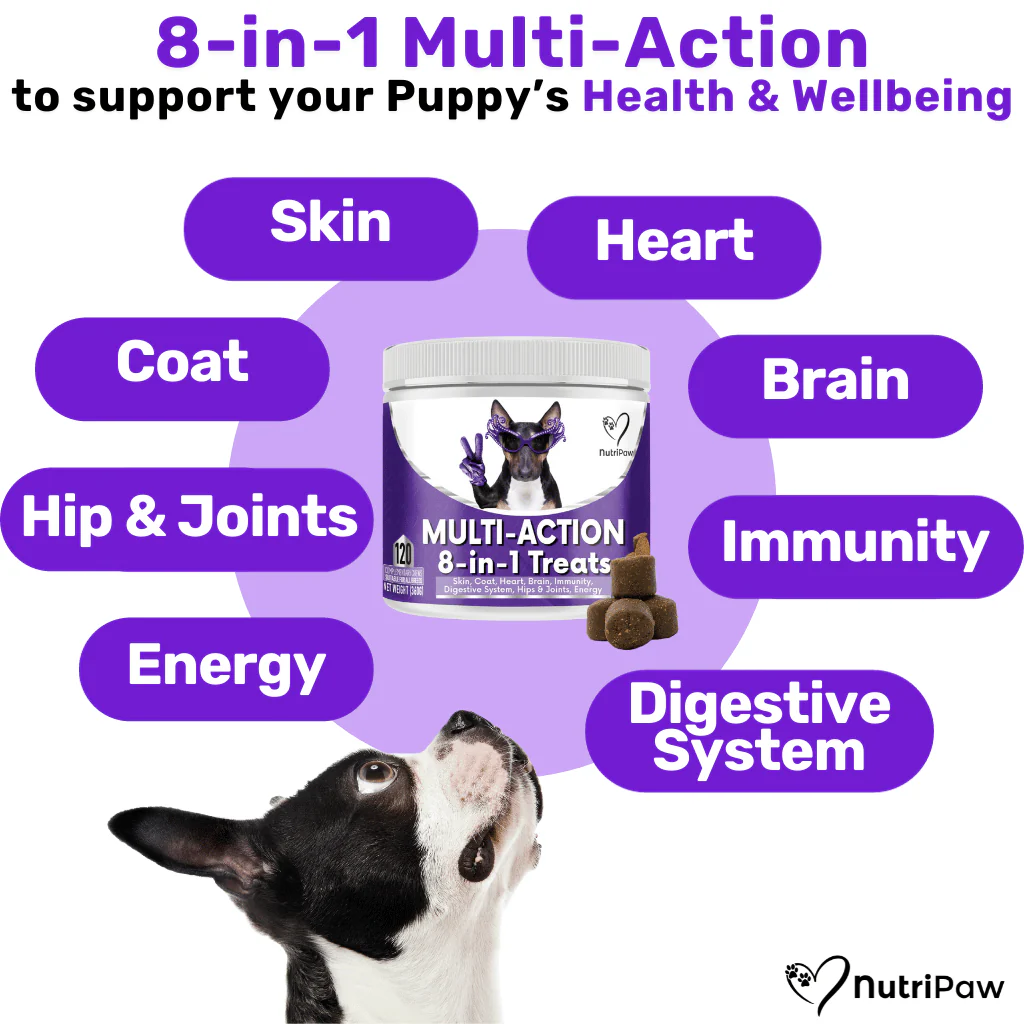 Proactive Wellness Pack - Image 2