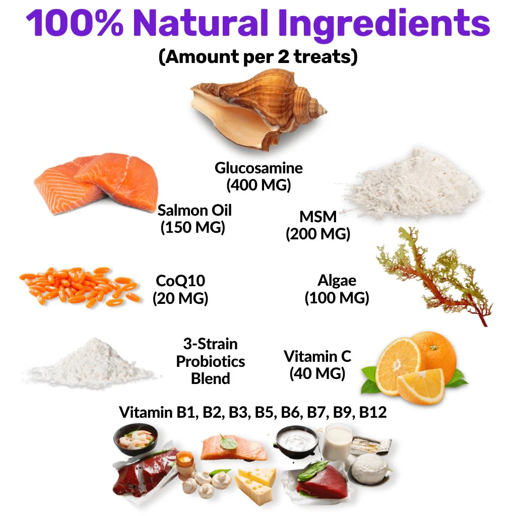 Proactive Wellness Pack - Image 4