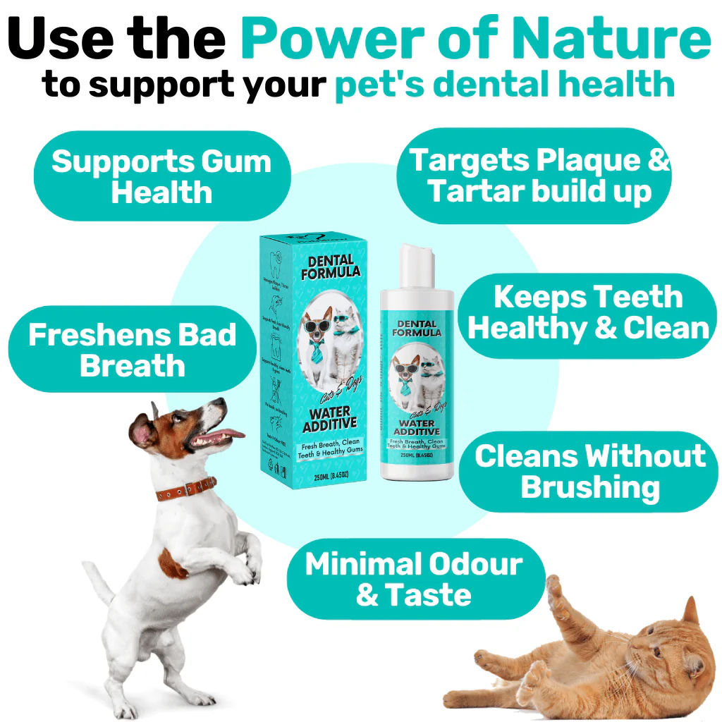 Proactive Wellness Pack - Image 9