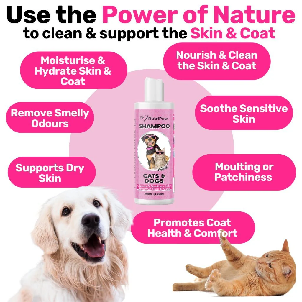 Shampoo - Image 3