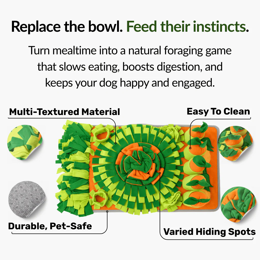 Forage Feeder - Image 2