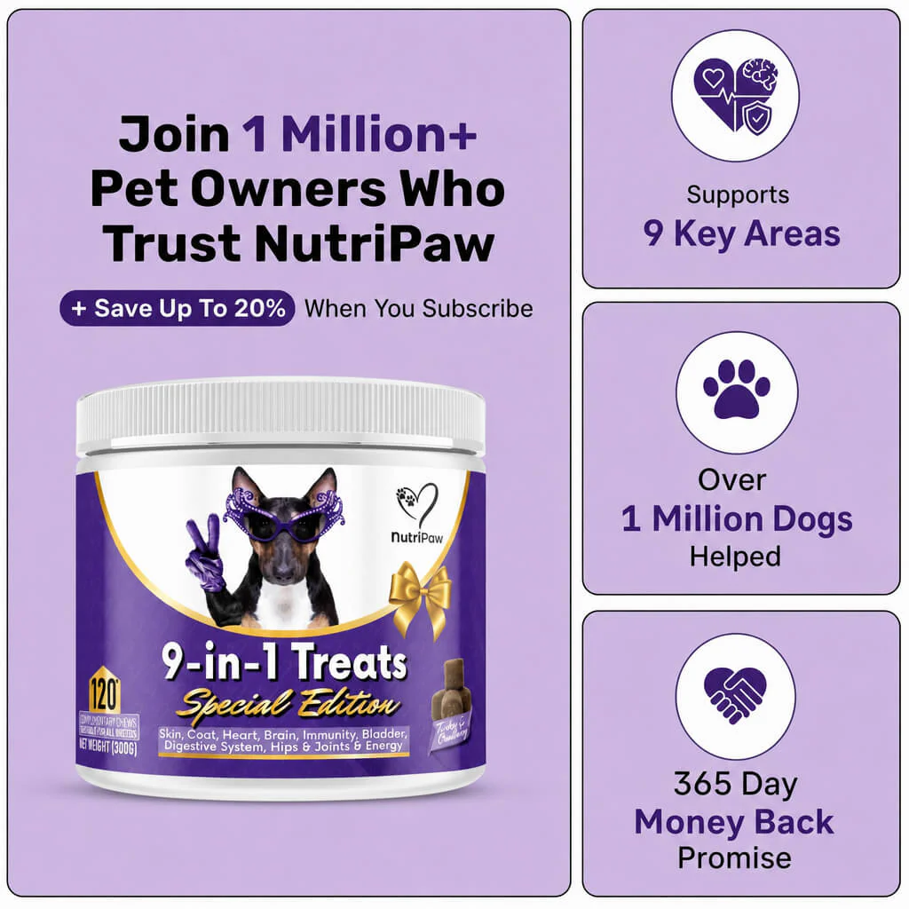Special Edition 9-in-1 Treats - Image 7
