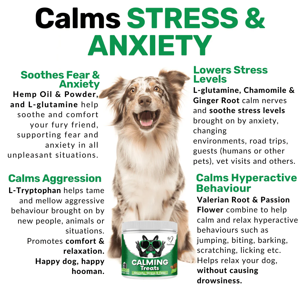 Stress & Scratch Kit - Image 8