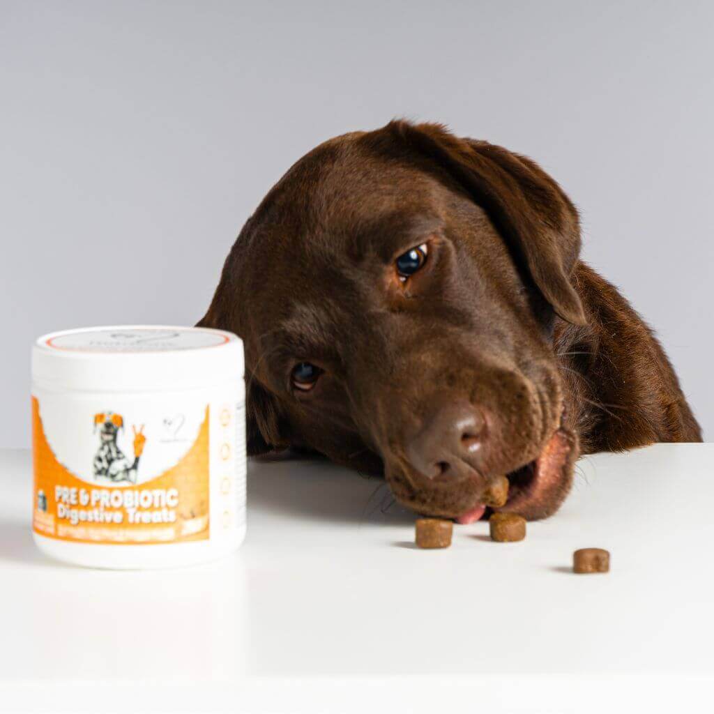 Teeth, Gums & Tums Kit - Image 3