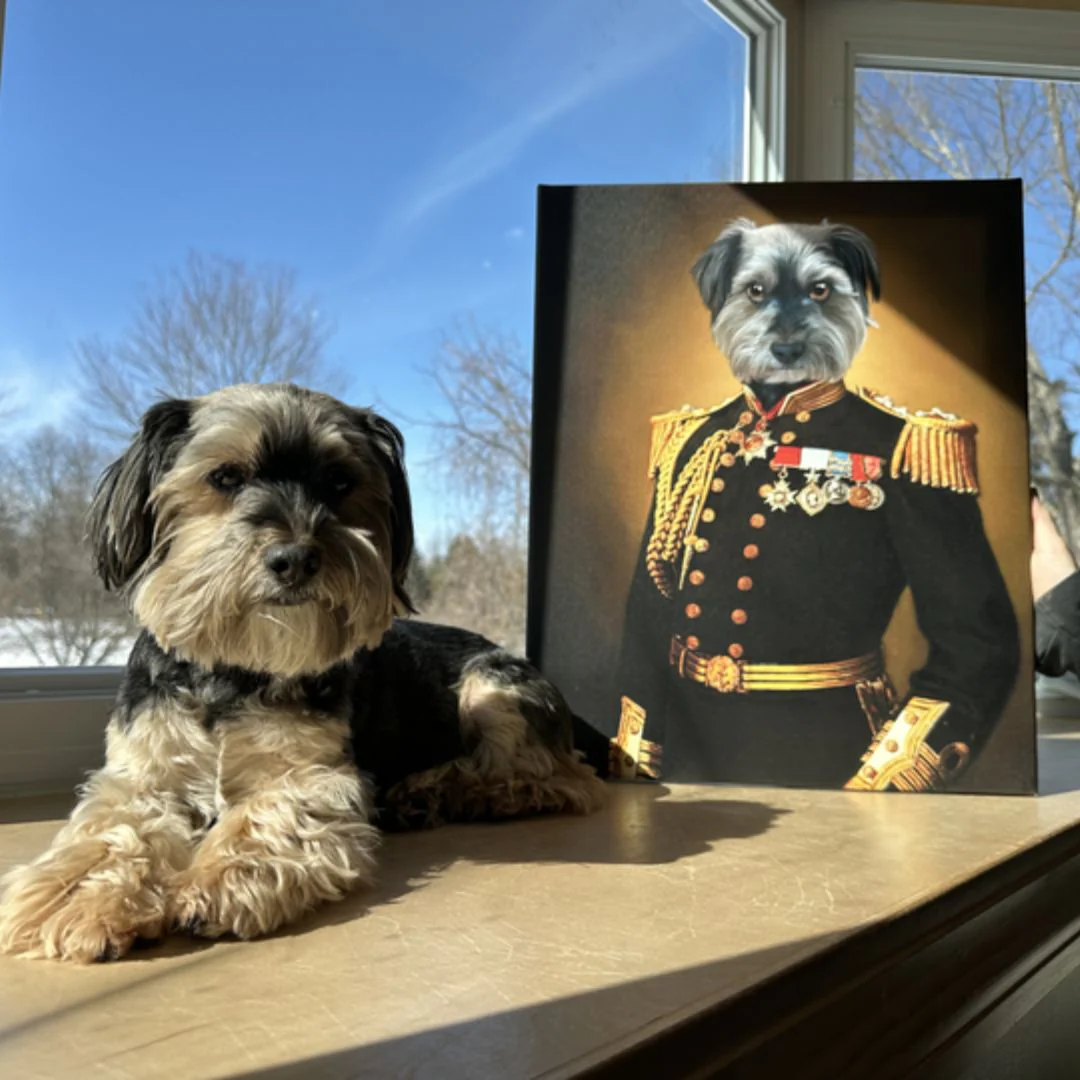 The General - Renaissance Pet Portrait - Image 2